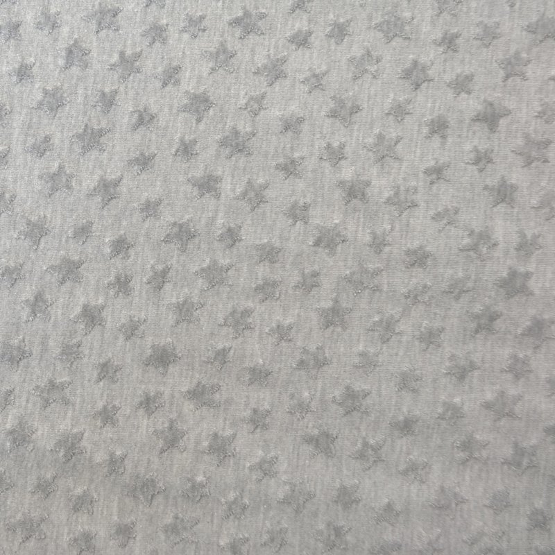 Tissu Jersey Zoé Etoiles velours en relief Gris clair