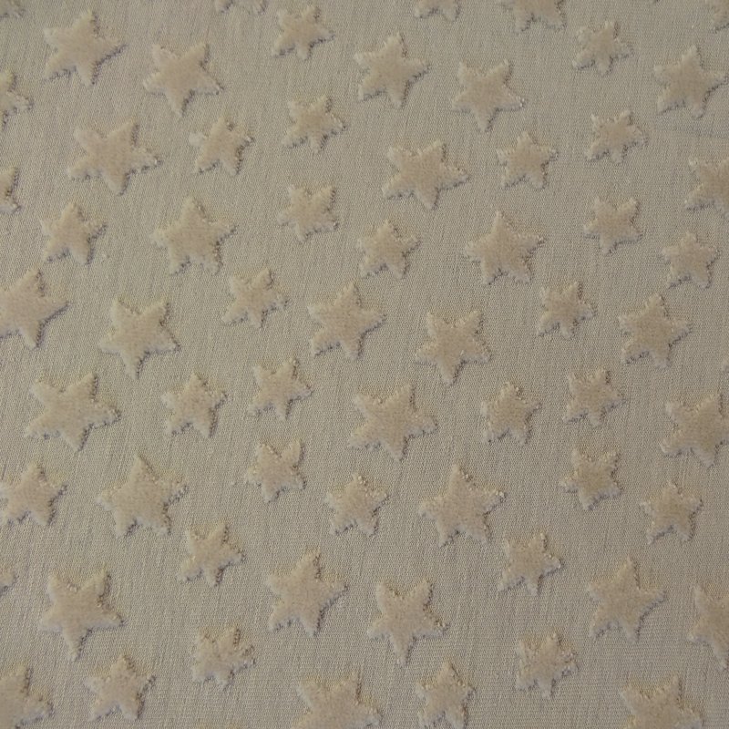Tissu Jersey Zoé Etoiles velours en relief Beige