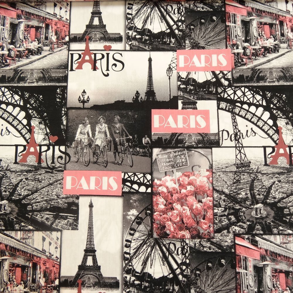 Tissu Popeline impression digitale Paris