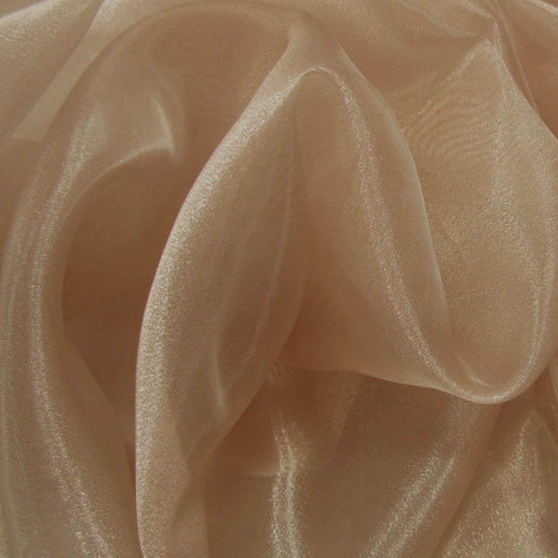 Tissu Organza Beige