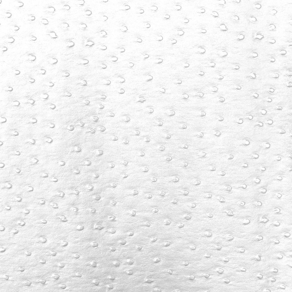 Simili cuir Autruche Blanc