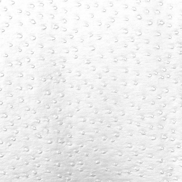 Simili cuir Autruche Blanc - Par 50 cm