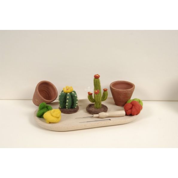 Livres de 10 modèles de feutrage cactus et succulentes