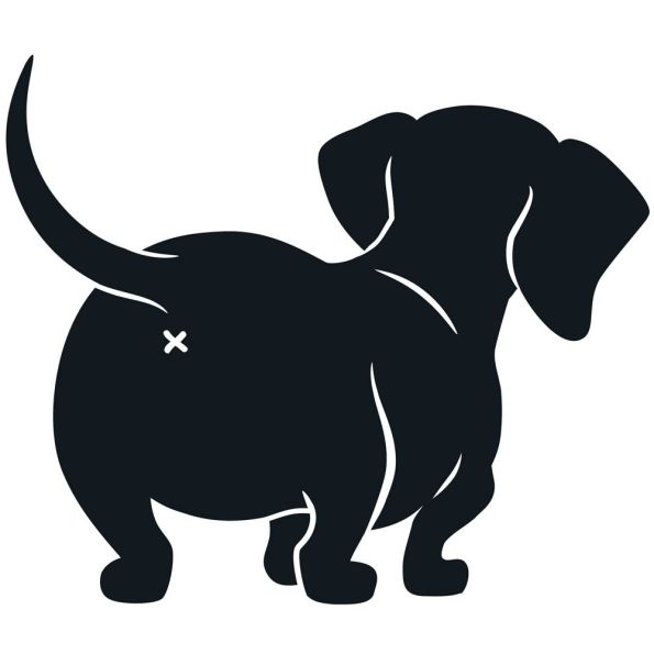 Sticker textile thermo-adhésif  7x7 cm - Chien de dos 