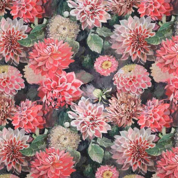 Tissu Toile Canvas fleurs Florombra roses sur fond Noir profond - Par 10 cm