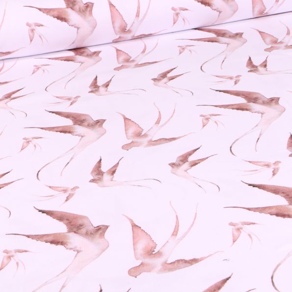 Tissu Jersey Coton Bio Hirondelle Aquarelle Beige sur fond Blanc - Par 10 cm