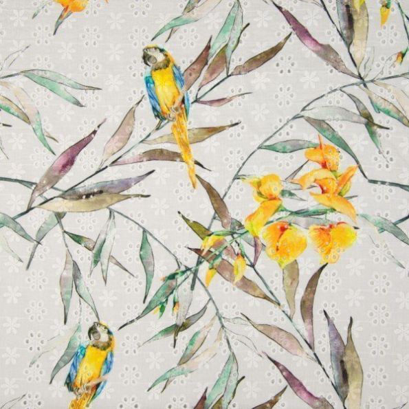 Tissu Coton brodé et ajouré Perroquets et feuilles sur fond Blanc - Par 10 cm