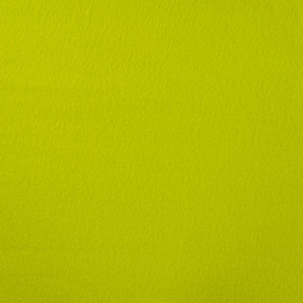 Coupon Tissu Polaire doux uni Vert - Coupon de 50 cm