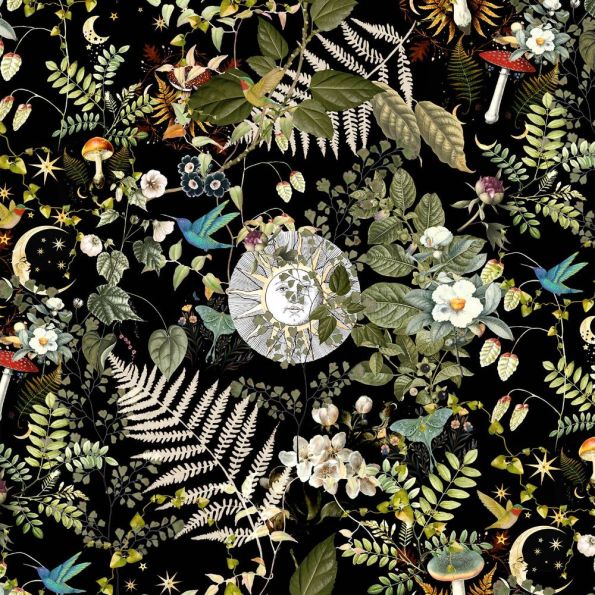 Tissu Velours ras épais tout doux Celeste sur fond Noir - Par 10 cm