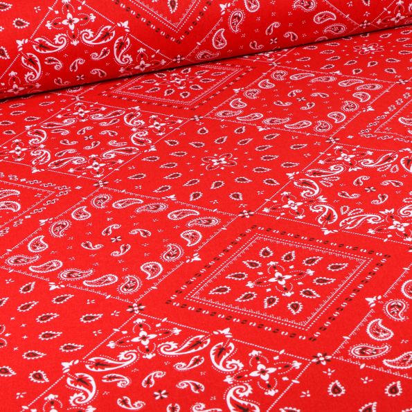 Tissu Coton imprimé Arty Paisley sur fond Rouge - Par 10 cm