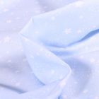 Tissu Coton imprimé Bio Caelum sur fond Bleu ciel