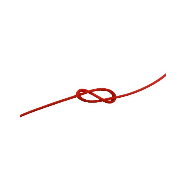 Cordon Queue de souris 2 mm Rouge x1m