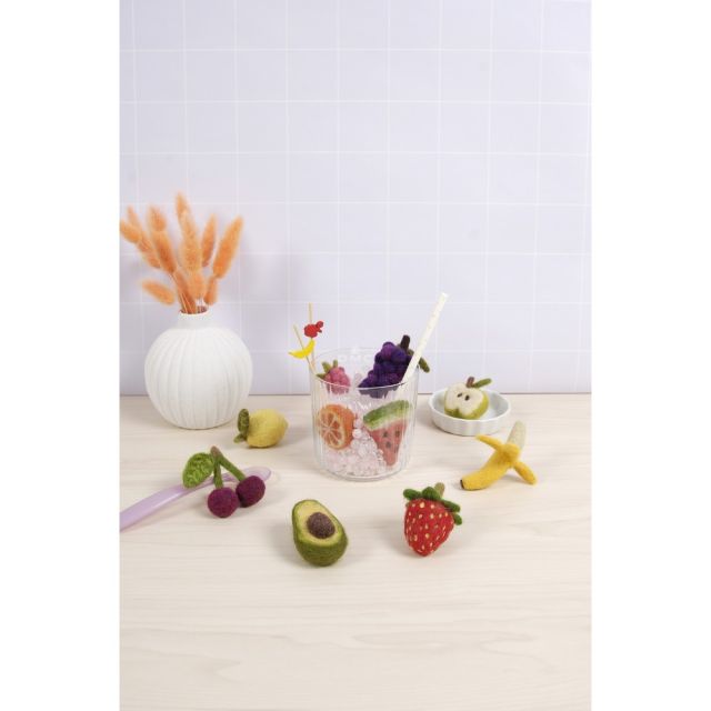 Livres de 10 modèles de feutrage fruits