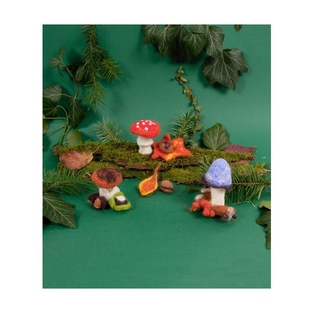 KIT FEUTRAGE CHAMPIGNONS DMC