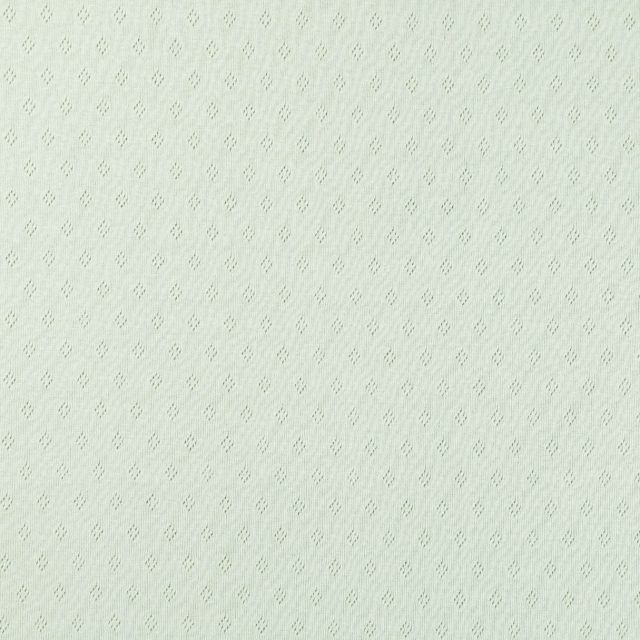Tissu Jersey Coton ajouré uni Vert lichen - Par 10 cm