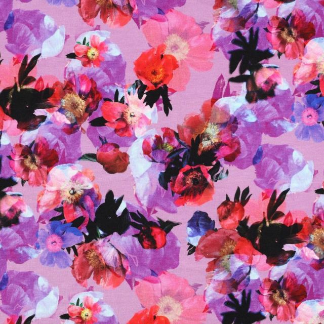 Tissu Sweat léger French Terry digital Fleurs violettes et roses sur fond Parme