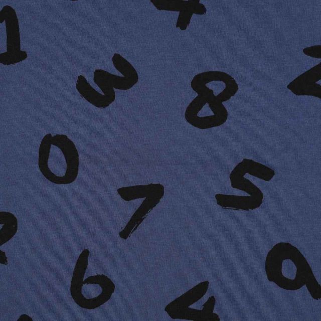 Tissu Sweat envers molletonné Enzo sur fond Bleu denim