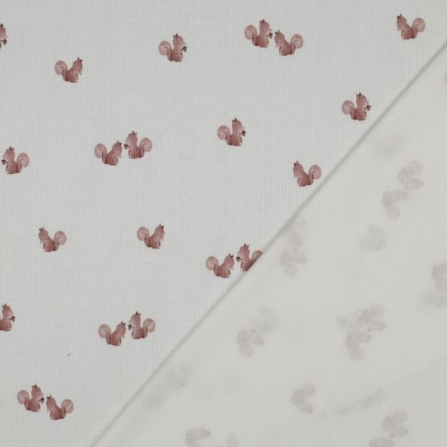 Tissu Jersey Coton côtelé digital Écureuil Rose poudré sur fond Ecru