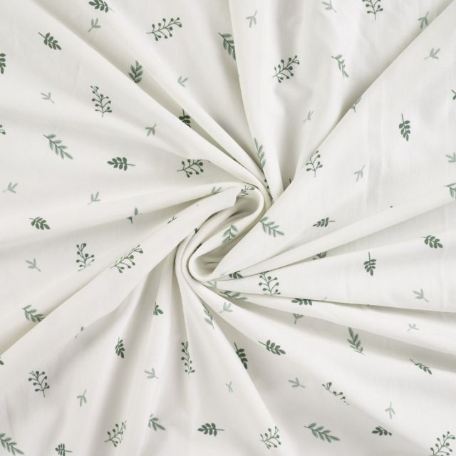 Tissus Jersey Coton imprimé Branches sur fond Blanc cassé