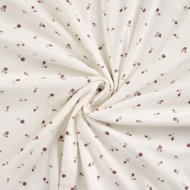 Tissu Jersey Coton Bord côte Petites roses sur fond Blanc cassé