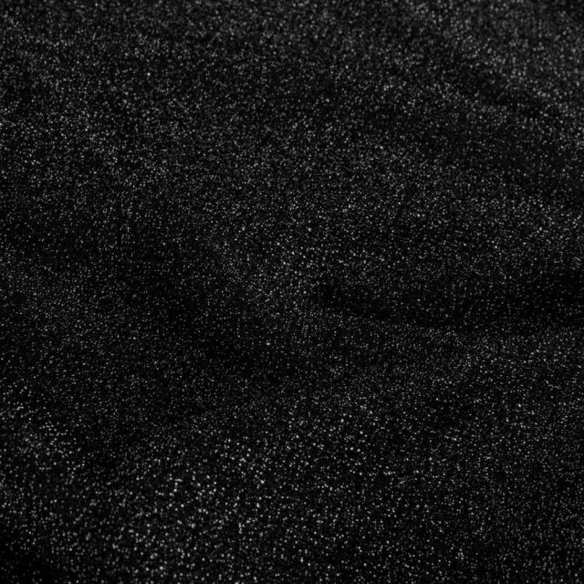 Tissu Jersey Lurex Livia extensible pailleté uni Noir