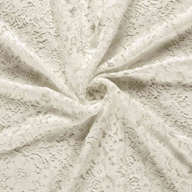 Tissu Dentelle lourde uni Blanc cassé
