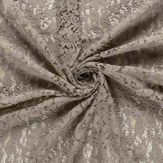 Tissu Dentelle lourde uni Beige
