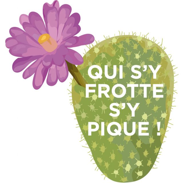 Sticker textile thermo-adhésif  7x7 cm - Cactus Qui s'y frotte s'y pique !