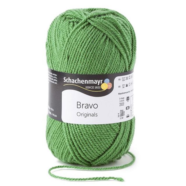 Pelote de fil à tricoter Schachenmayr Bravo 50g - Vert