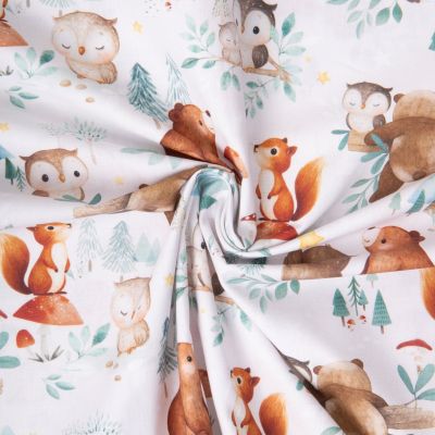 Tissu Coton imprimé digital Arty Marlow chouette et écureuil sur fond Blanc - Par 10 cm