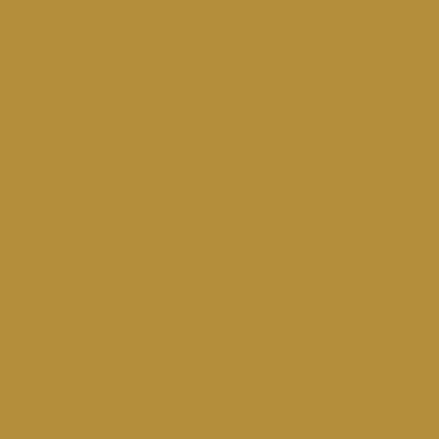 Tissu Toile de coton uni Grande largeur Ocre - Par 10 cm