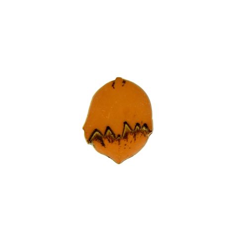 Bouton noisette - 15 mm