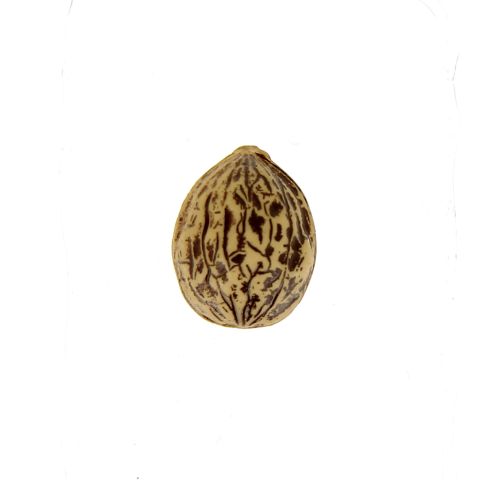 Bouton noix - 15 mm