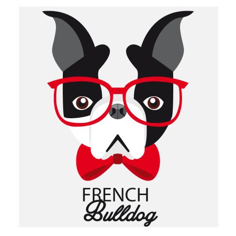Sticker textile thermo-adhésif  7x7 cm - Chien à lunette 