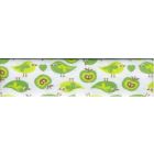 Biais replié 20 mm Vert Pommes et oiseaux x1m