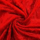 Panne de velours Rouge x10cm