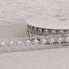 Galon paillettes 20 mm Argent x1m