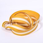 Sangle Coton 30 mm Bicolore Moutarde x1m