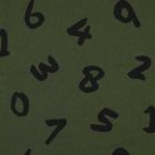 Tissu Sweat envers molletonné Enzo sur fond Vert kaki foncé