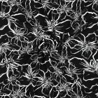 Tissu Viscose EcoVero grandes fleurs Blanche sur fond Noir