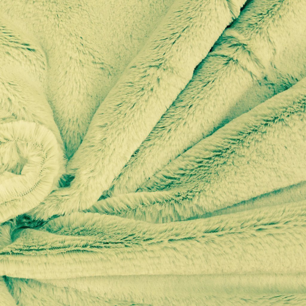 Tissu Minky Ultra doux Longs poils Vert pastel