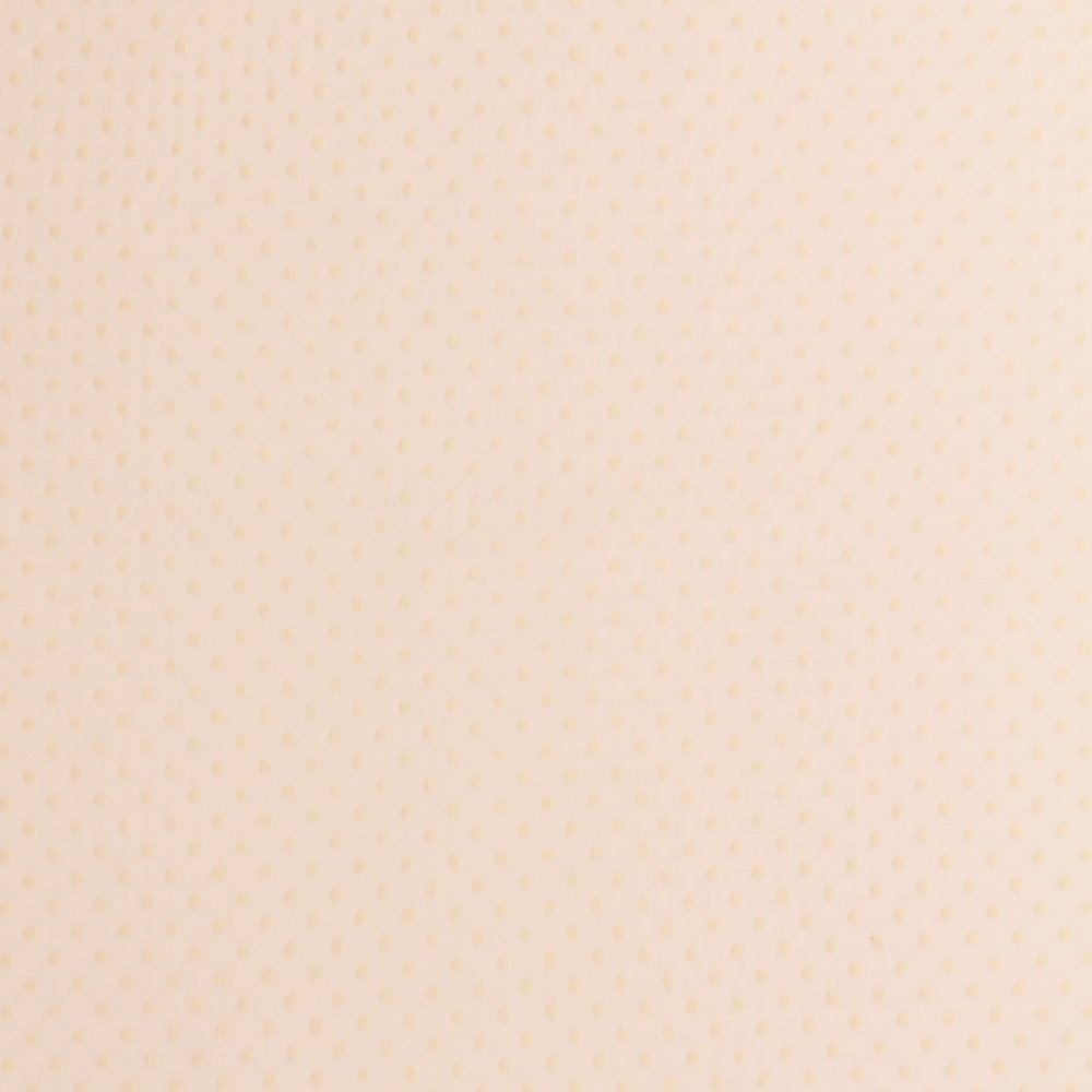 Tissu Voile Plumetis Ecru