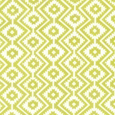 Tissu Michael Miller Fiesta Eduardo Vert