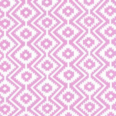 Tissu Michael Miller Fiesta Eduardo Rose