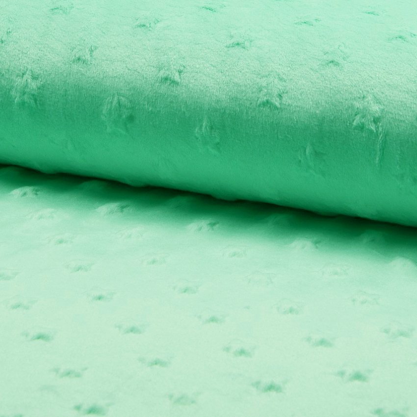 Tissu Minky Ultra doux Etoiles Vert menthe