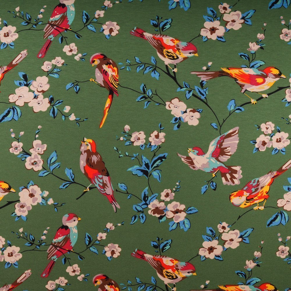 Tissu Jersey Coton Oiseaux et fleurs Multicolore sur fond Vert foncé