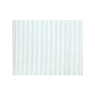 Elastique Plat Indémaillable 25 mm Blanc x1m