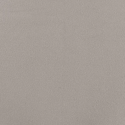Tissu Jersey Velours éponge envers polaire uni Beige - Par 10 cm