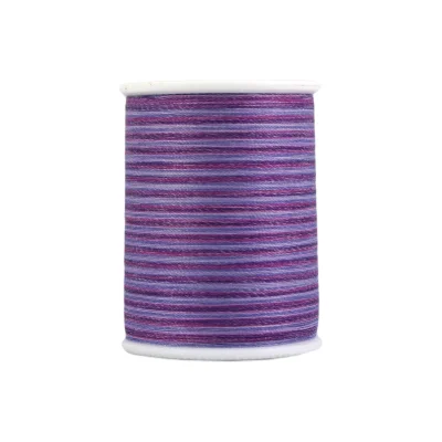 Fil à quilter Dual Duty Multicolore 228m - 810