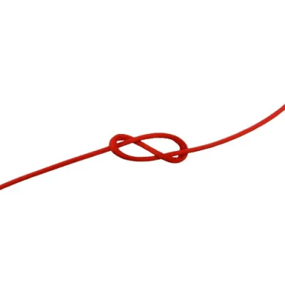 Cordon Queue de souris 2 mm Rouge x1m